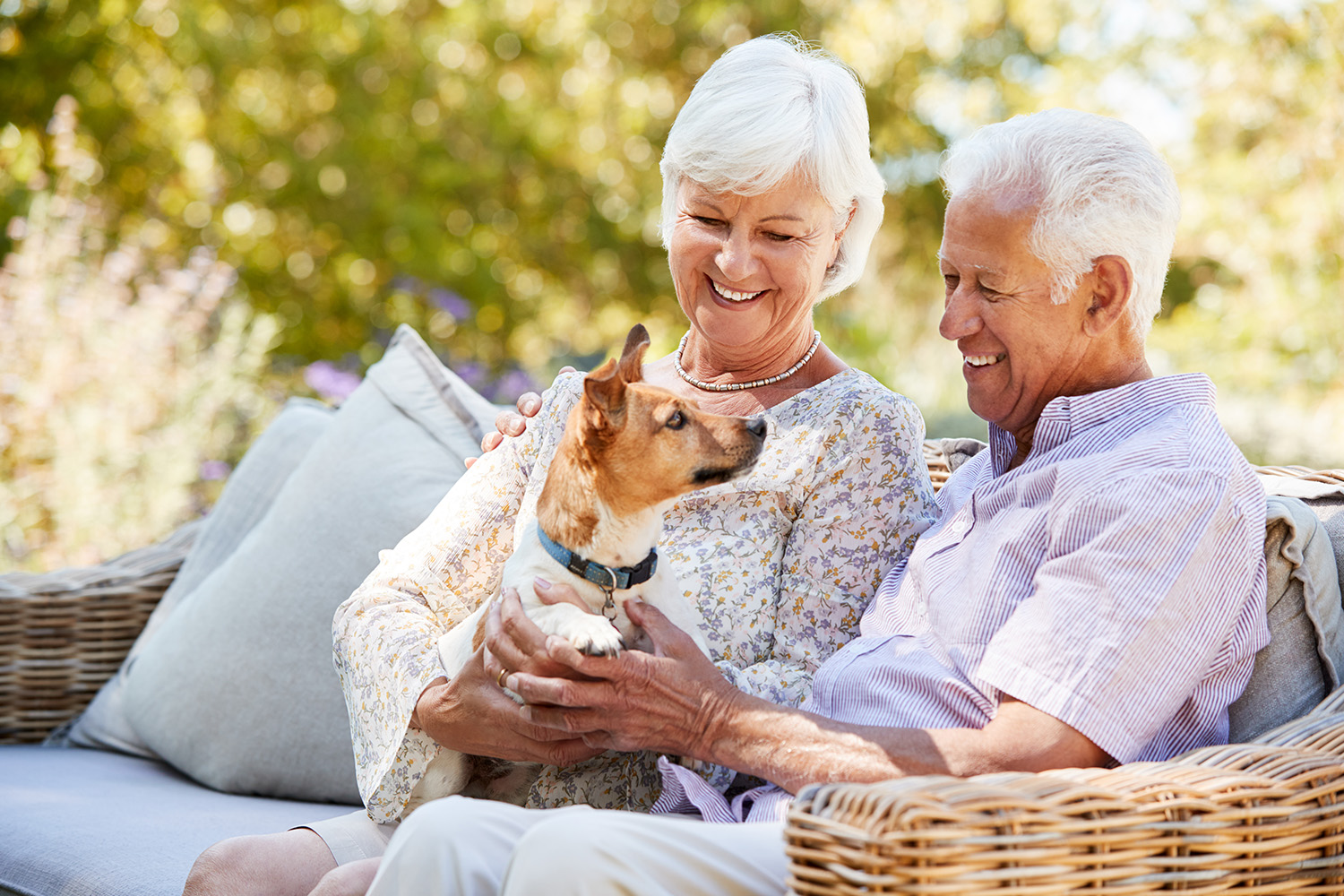 Happy senior couple sitting with a pet dog in the garden